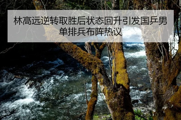 林高远逆转取胜后状态回升引发国乒男单排兵布阵热议